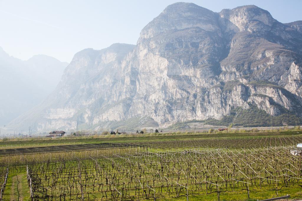 Hotel Comfort Erica Dolomiti Val D'Adige ซาลอร์โน ภายนอก รูปภาพ